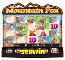 seuwin,seuwin.com